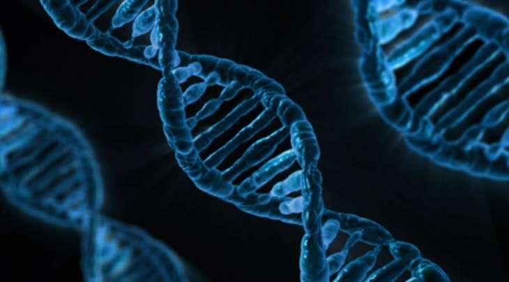 Ученые выяснили, может ли COVID-19 встраиваться в ДНК человека