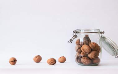 Как правильно хранить грецкие орехи, чтобы они не портились