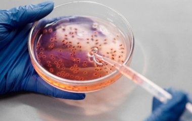 Лікар підтвердив здатність коронавірусу впливати на репродуктивне здоров'я