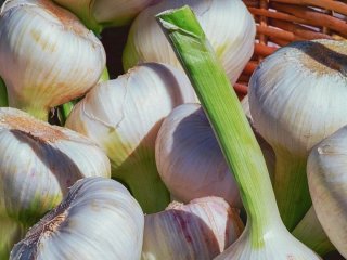 Топ продуктів, що розчиняють тромби
