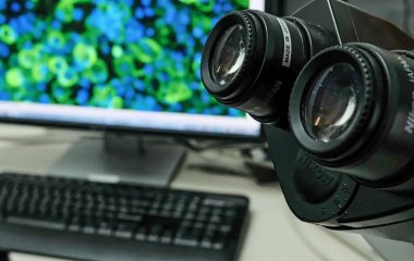 Вчені виявили нове смертельне захворювання