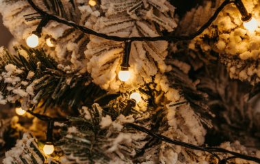 Жінка вперше помила свою штучну ялинку і була приголомшена – фото
