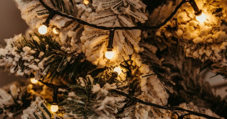 Жінка вперше помила свою штучну ялинку і була приголомшена – фото