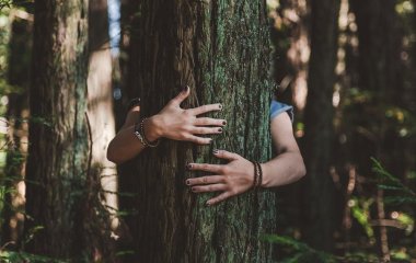 Чи здійснює спілкування з природою терапевтичний ефект: результати останніх досліджень