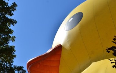 Гигантская утка сдулась в Гонконге сразу после презентации
