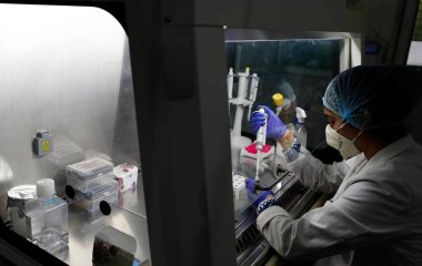 Т-клітинна імунна відповідь на різні штами коронавірусу виявилася різною