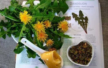 Як почистити печінку за допомогою напою з кореня кульбаби