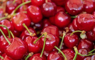 Черешня при діабеті: солодке задоволення з користю чи ризиком