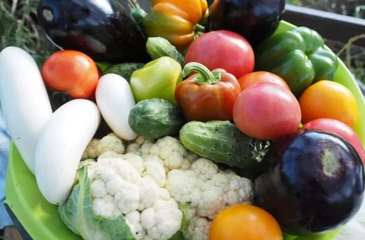 Как не отравиться первыми овощами и фруктами