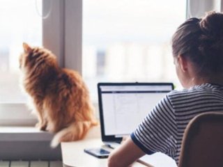 Вчені дослідили, як віддалена робота негативно пливає на психіку людини, найбільше на тих, хто живе сам