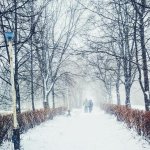 День ангела 12 лютого: кого та як вітати з іменинами