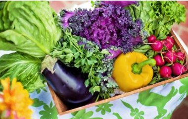 Дієтолог назвала найкорисніші продукти для діабетиків