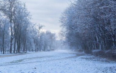 5 грудня — яке церковне свято, що цього дня не варто робити чоловікам