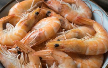 Не лише куряча грудка: 8 продуктів із високим вмістом білка, які варто додати до раціону