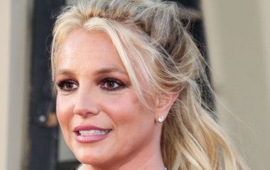 Экс-адвокат молчал 13 лет: вскрылась правда, благодаря которой Бритни Спирс может стать свободной