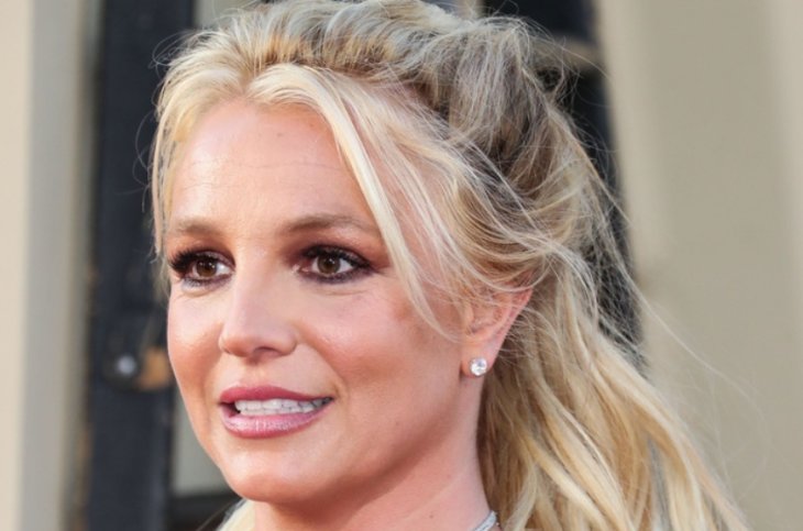 Экс-адвокат молчал 13 лет: вскрылась правда, благодаря которой Бритни Спирс может стать свободной