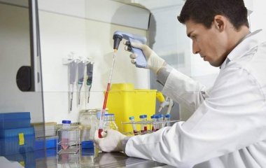 Вчені створили замінник м'яса з личинок