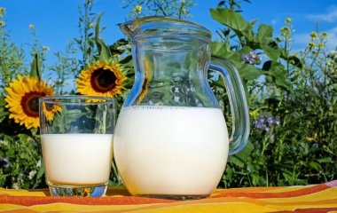 Лікарі розповіли, з якими продуктами не можна вживати молоко