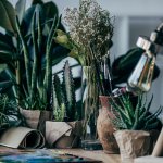 Возникнут проблемы со сном: какие цветы нельзя ставить в спальне