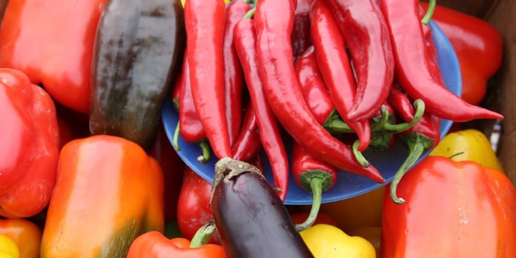 Ці продукти допомагають у боротьбі з віковим погіршенням зору.