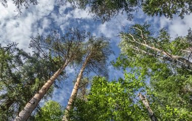 Зміна клімату вдарить по здоров'ю людства сильніше за COVID-19