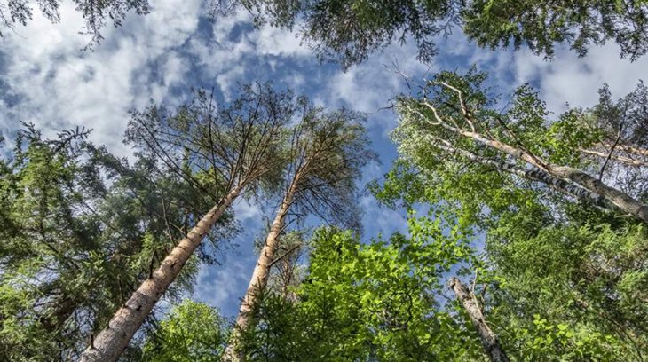 Зміна клімату вдарить по здоров'ю людства сильніше за COVID-19