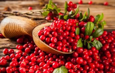 Вчені назвали найкращий продукт для мозку