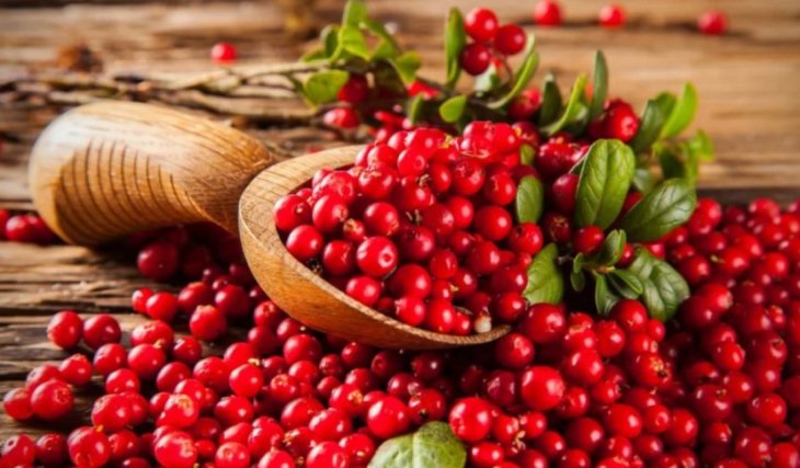 Вчені назвали найкращий продукт для мозку