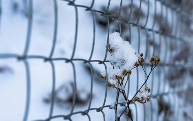 День ангела 8 грудня: кого та як вітати з іменинами