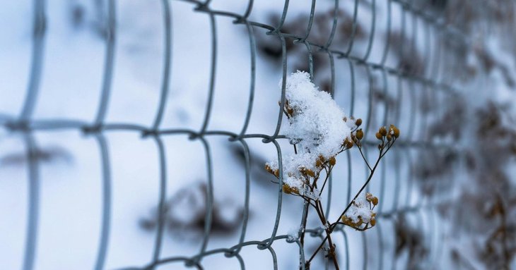 День ангела 8 грудня: кого та як вітати з іменинами