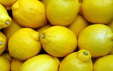 Медики назвали два продукта для эффективного снижения холестерина в крови