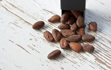 Сирі какао-боби корисніші, ніж шоколад