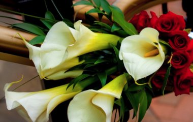 Які квіти подарувати чоловікові: чоловічий букет