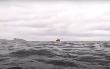 Горбатий кит проковтнув чоловіка на байдарці – відео, яке випадково записав нажаханий батько
