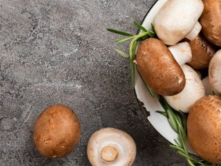 Названо гриби, які призупиняють процеси старіння: їх називають справжнім еліксиром молодості