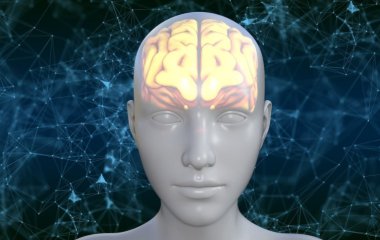 Вчені з'ясували до яких відхилень у ембріона наводить дефіцит вітаміну Е