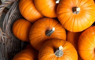 8 осінніх продуктів, які природно допомагають знизити рівень цукру в крові