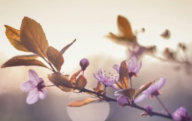 День ангела 16 квітня: кого та як вітати з іменинами