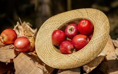 Продукти, які допоможуть підвищити гемоглобін
