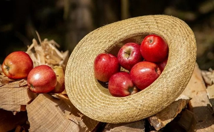 Продукти, які допоможуть підвищити гемоглобін