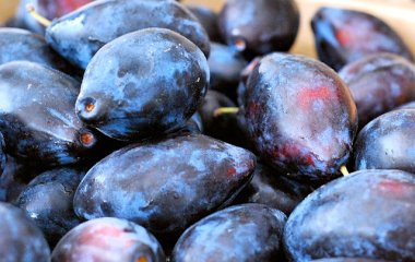 Названо неочевидні корисні властивості сливи