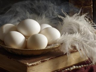 Розкрито несподівану користь яєць: ось чому їх не варто виключати з раціону