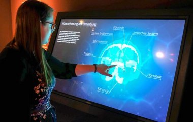 Вчені знайшли ділянки мозку, які «думають» про погрози