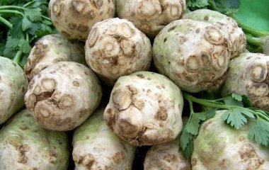 5 вкусных и полезных корнеплодов, которые помогут пережить экстремальные холода
