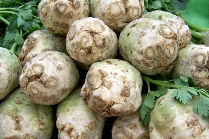5 вкусных и полезных корнеплодов, которые помогут пережить экстремальные холода