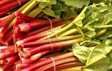 Три небезпечні продукти, від яких можна померти
