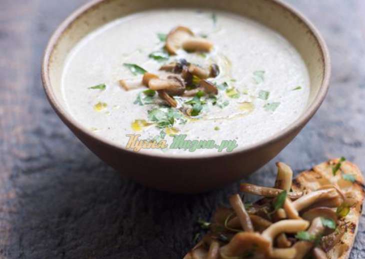 Рецепты приготовления легких супов на основе белых грибов с овощами