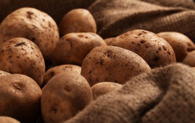 С каким продуктом нельзя хранить картофель, чтобы не испортился быстрее