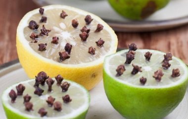 Понадобится одно растение: как избавиться от мух в доме