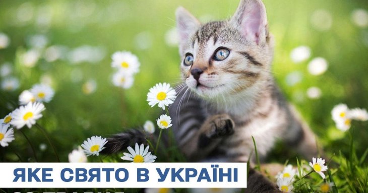 Яке завтра, 29 травня, свято — все про цей день, яке церковне свято, що не можна робити